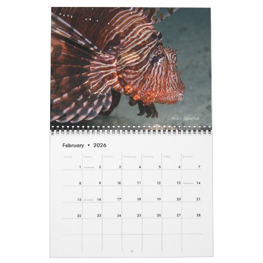 Rood Zee Ref Vissen 1 Kalender (Feb 2026)