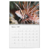 Rood Zee Ref Vissen 2 Kalender (Feb 2027)