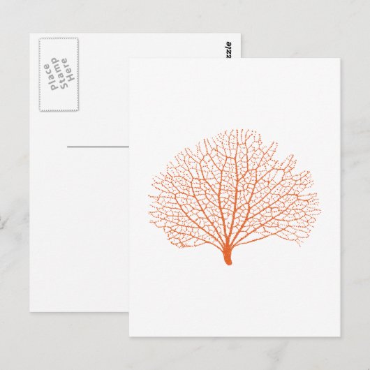 rood zee ventilator koraalsilhouet briefkaart (Voorkant / Achterkant)