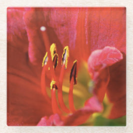 Rood zien glazen onderzetter