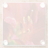 Rood zien glazen onderzetter (Achterkant)