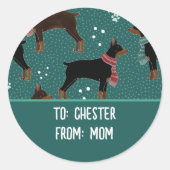 Rood & Zwart Dobermans in Sjaals Winterpatroon Ronde Sticker (Voorkant)