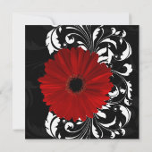 Rood, zwart en wit Scroll Gerbera Daisy Square Kaart (Achterkant)