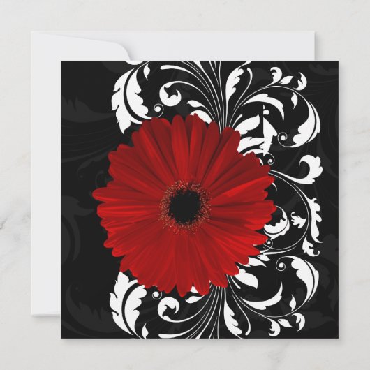 Rood, zwart en wit Scroll Gerbera Daisy Square Kaart (Achterkant)