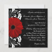 Rood, zwart en wit Scroll Gerbera Daisy Square Kaart (Voorkant)