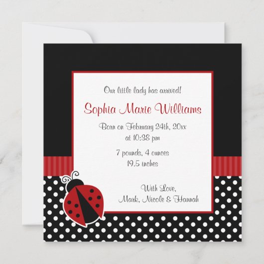 Rood zwart lieveheersbeestje foto geboorte aankond aankondiging (Achterkant)