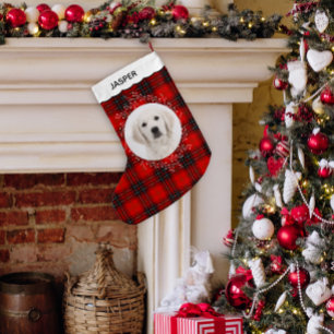 Rood Zwart Tartan Schotse Winter Krans Hond Foto Kleine Kerstsok