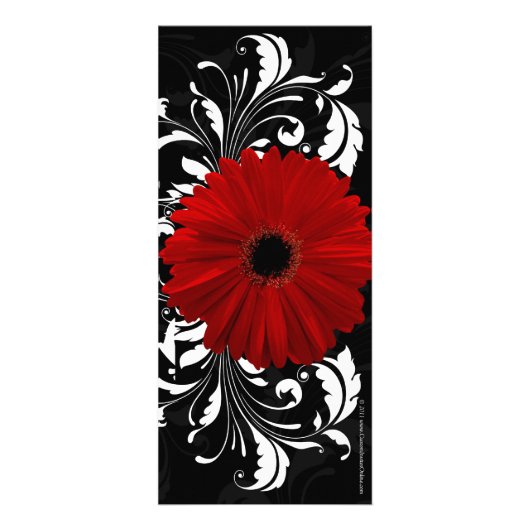 Rood, Zwart, Wit Gerbera Daisy Menu, Programma (Achterkant)