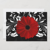 Rood zwart-wit Gerbera Daisy Vrijgezellenfeest Kaart (Achterkant)