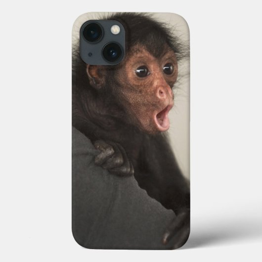 Roodaangezichtspinaap (Ateles paniscus) Case-Mate iPhone Case (Achterkant)