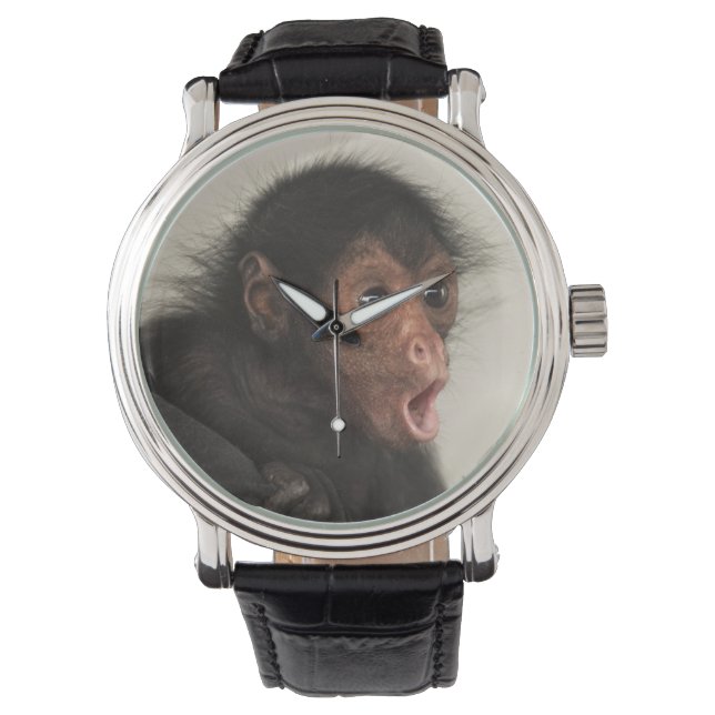 Roodaangezichtspinaap (Ateles paniscus) Horloge (Voorkant)