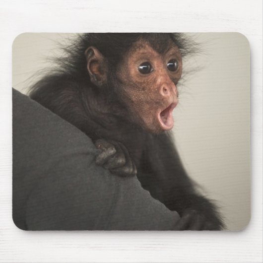 Roodaangezichtspinaap (Ateles paniscus) Muismat (Voorkant)