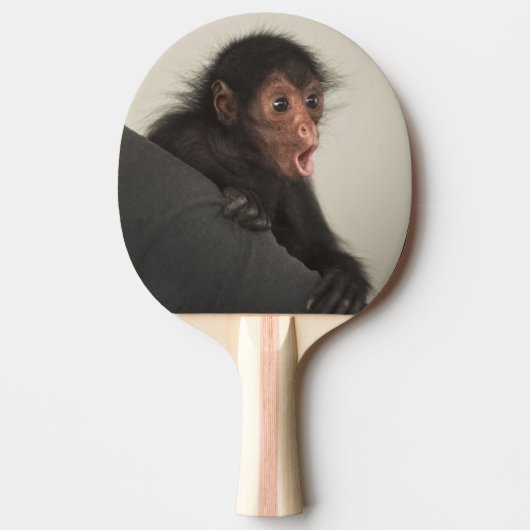 Roodaapspinaap (Ateles paniscus) Tafeltennisbatje (Voorkant)