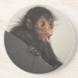 Roodaapspinaap (Ateles paniscus) Zandsteen Onderzetter
