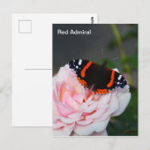 Roodadmiraal vlinder briefkaart (Voorkant / Achterkant)