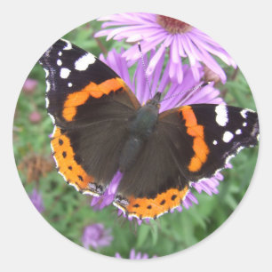 Roodadmiraal vlinder ronde sticker