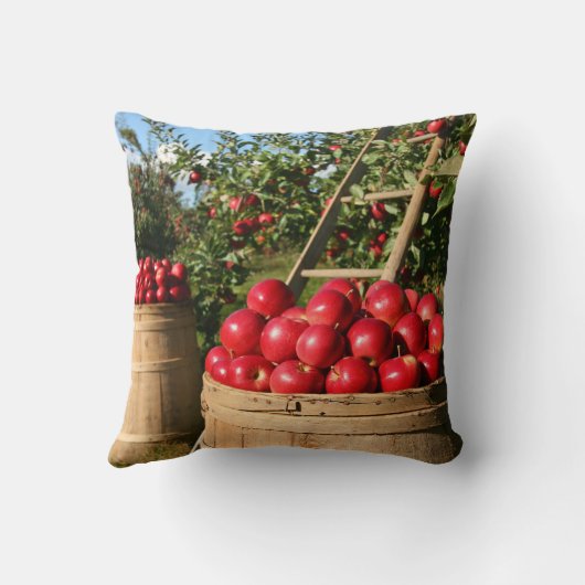Roodappeloogst van Orchard Kussen (Achterkant)