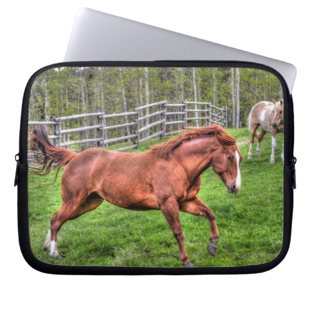 Roodbaard paard Rood op Ranch Laptop Sleeve (Voorkant)