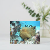 Roodbaars Briefkaart (Staand voorkant)