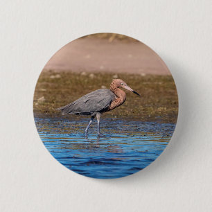 Roodbaars grot op Noordstrand Ronde Button 5,7 Cm