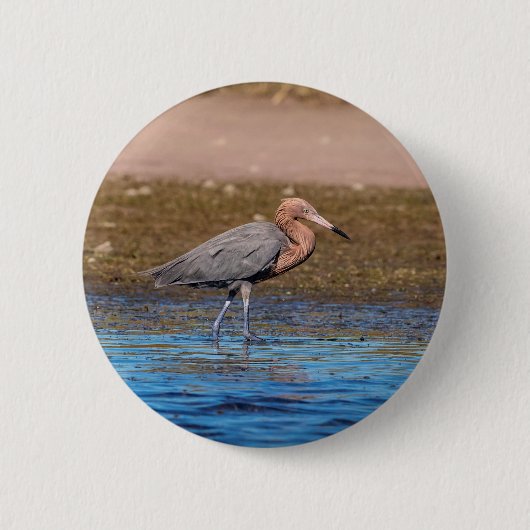 Roodbaars grot op Noordstrand Ronde Button 5,7 Cm (Voorkant)