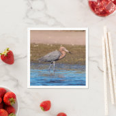 Roodbaars grot op Noordstrand Servetten (Insitu)
