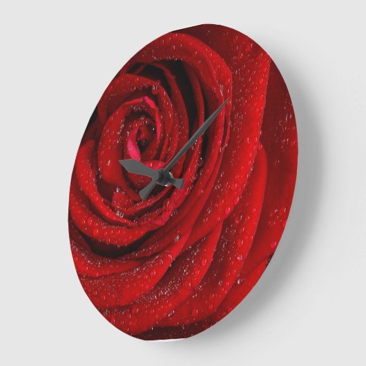 Roodbaars Grote Klok (Hoek)