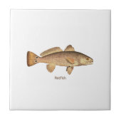 Roodbaars Logo Tegeltje (Voorkant)