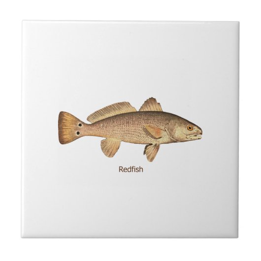 Roodbaars Logo Tegeltje (Voorkant)