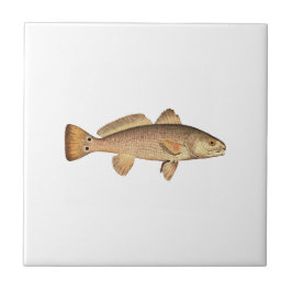 Roodbaars Logo Tegeltje