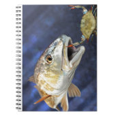 roodbaars notitieboek (Voorkant)