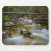 Roodbaarse boomkreek mousepad muismat (Voorkant)