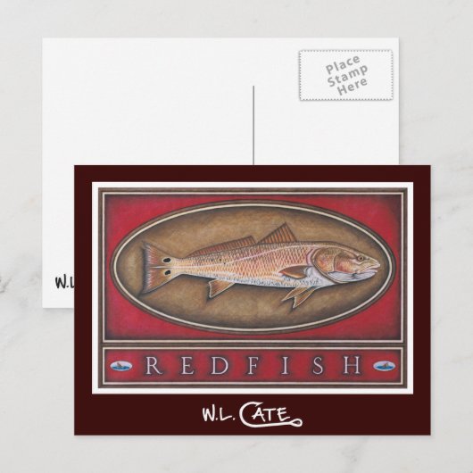 Roodbaarse Briefkaarten (Voorkant / Achterkant)