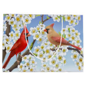 Roodbaartas in noordelijke Kardinaal Groot Cadeauzakje (Achterkant)