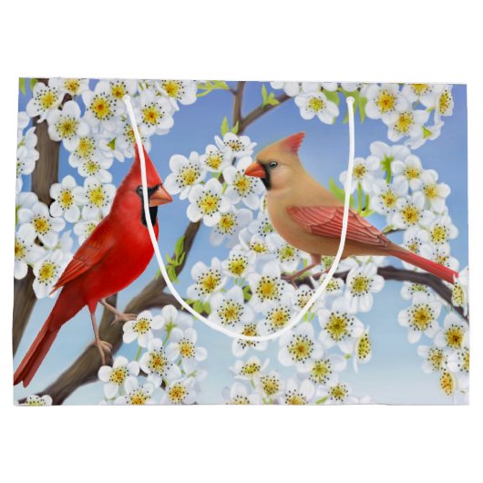 Roodbaartas in noordelijke Kardinaal Groot Cadeauzakje (Achterkant)