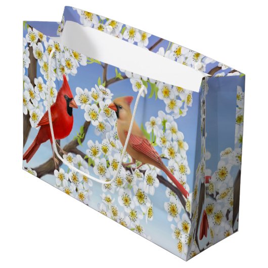 Roodbaartas in noordelijke Kardinaal Groot Cadeauzakje (Voorkant Gekanteld)