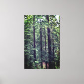 Roodbaarzen #2 Canvas (Voorkant)