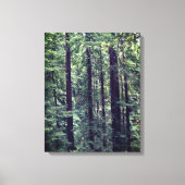 Roodbaarzen #2 Canvas Afdruk (Voorkant)