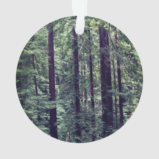 Roodbaarzen #2 Ornament (achterkant)