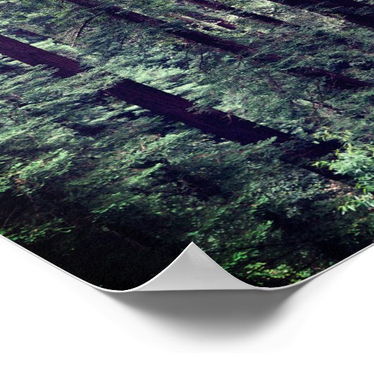 Roodbaarzen #2 Poster (Hoek)