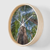 Roodbaarzen | Marin County, Californië (Hoek)