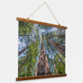 Roodbaarzen | Marin County, Californië Hangend Wandkleed (Gebogen)