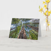 Roodbaarzen | Marin County, Californië Kaart (Gele Bloem)