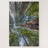 Roodbaarzen | Marin County, Californië Legpuzzel (Verticaal)