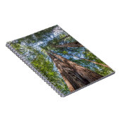 Roodbaarzen | Marin County, Californië Notitieboek (Rechterzijde)