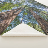 Roodbaarzen | Marin County, Californië Sherpa Deken (3/4)