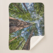 Roodbaarzen | Marin County, Californië Sherpa Deken (Voorkant)