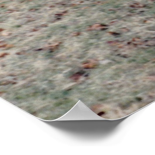 Roodbedekking brug poster (Hoek)