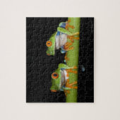 Roodbeige boomkikkers (Agalychnis callidryas) Legpuzzel (Verticaal)