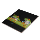 Roodbeige boomkikkers (Agalychnis callidryas) Tegeltje (Zijkant)